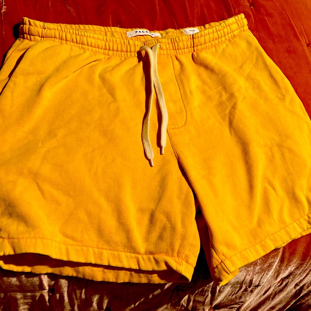 Pacsun shorts size L Volley